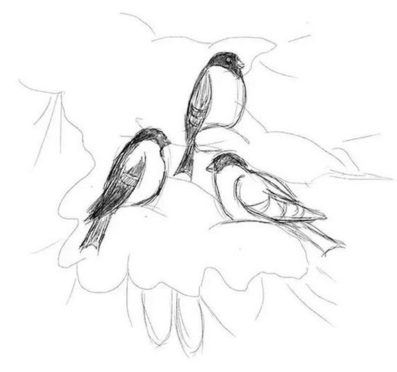 Снигирьрисунок карандашом