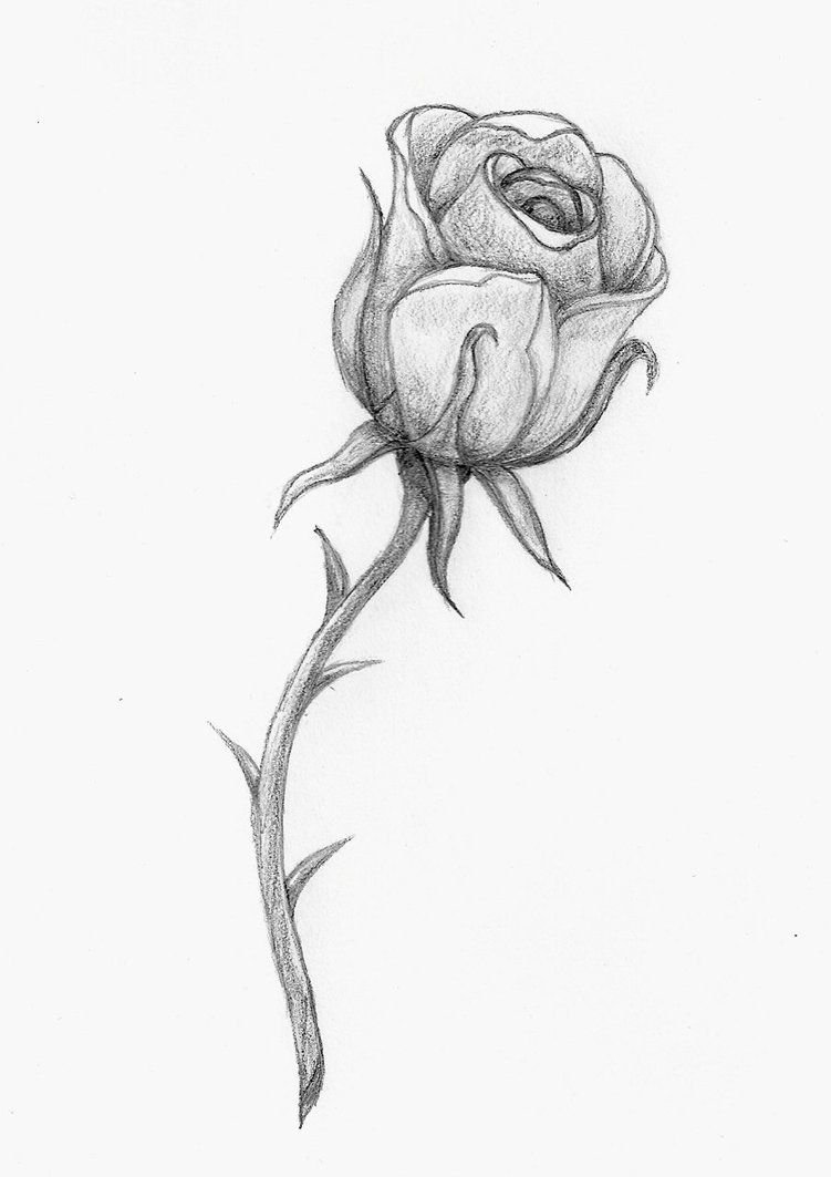 Бутон розы карандашом