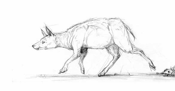 Базилозавр раскраска