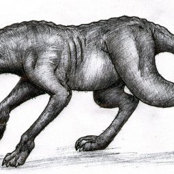 Чупакабра веселый рисунок