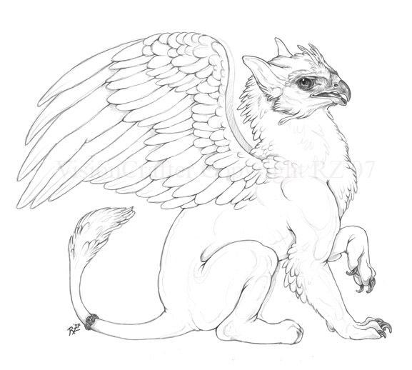 Раскраска Гарри Поттер гиппогриф