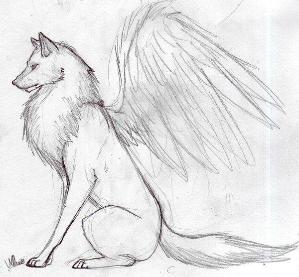 Волк с крыльями карандашом