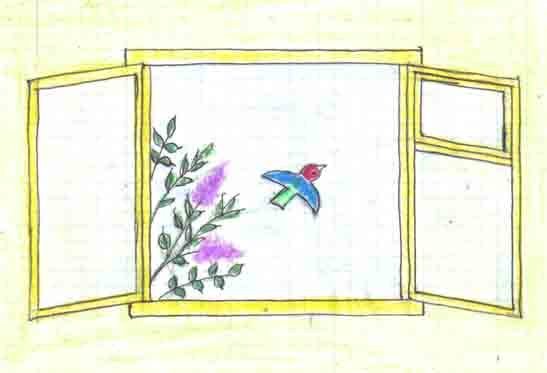 Окно раскраска