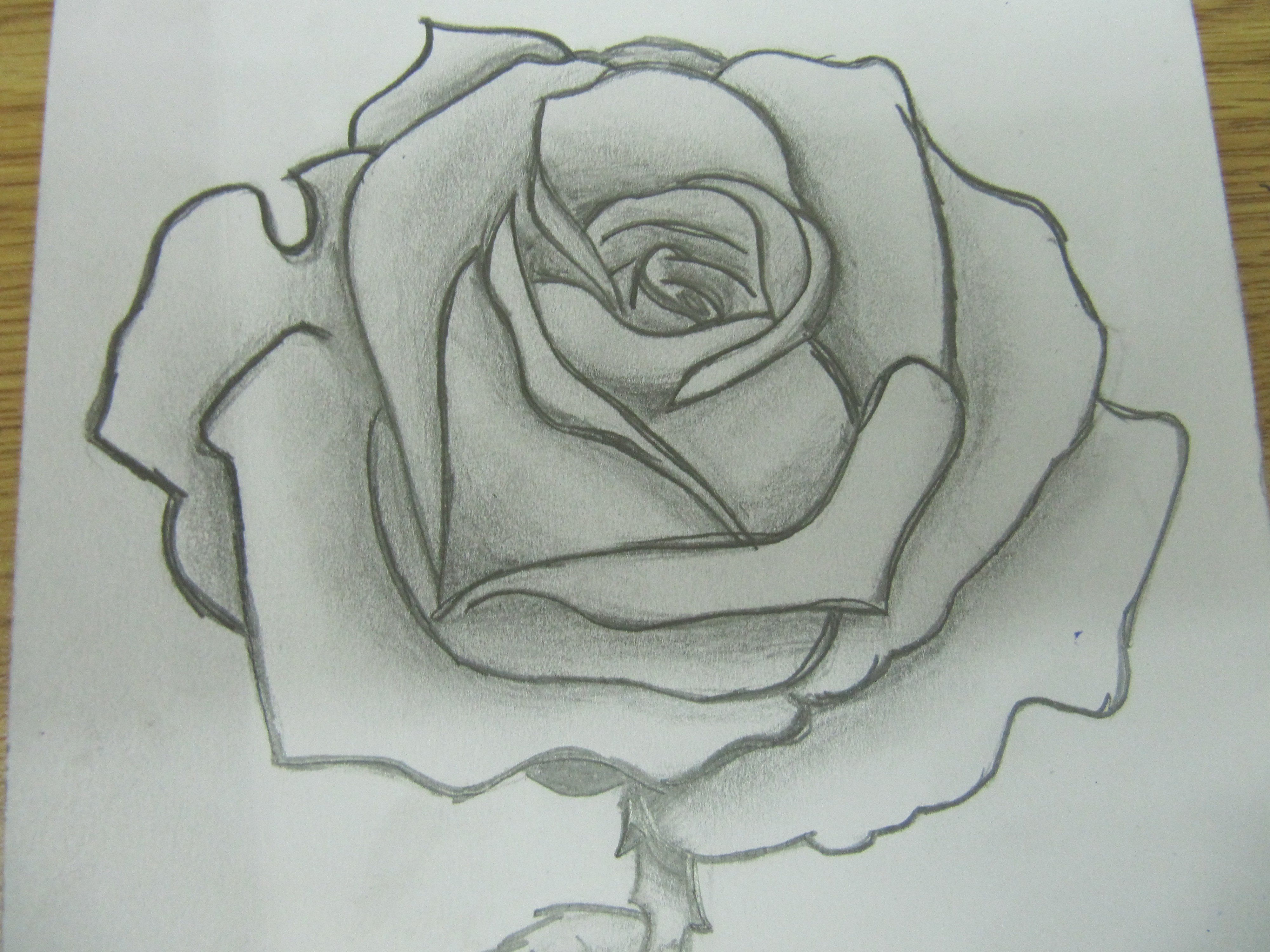 Роза нарисованная на бумаге ручкой