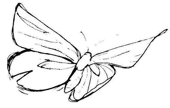 Рисование бабочки поэтапно