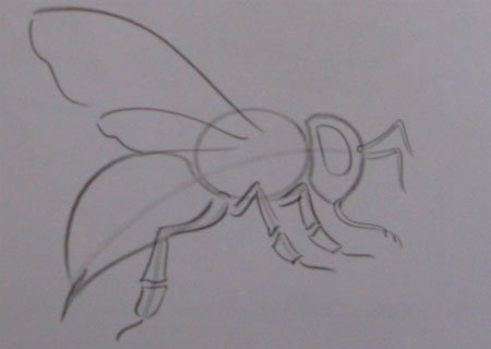 Пчела карандашом для срисовки