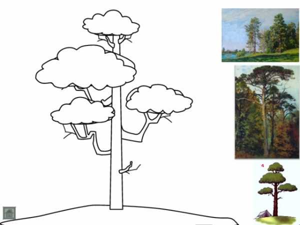 Нарисовать сосну поэтапно