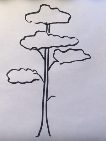 Дерево сосна карандашом