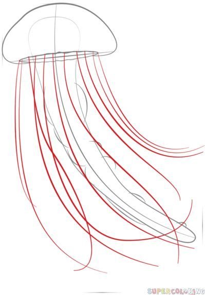 Морские медузы раскраска