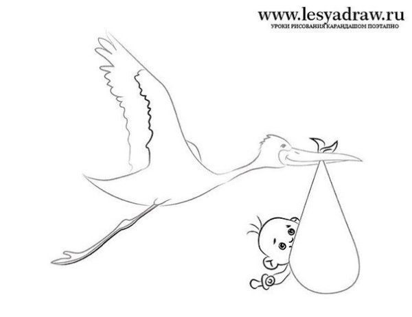 Поэтапное рисование аиста для детей