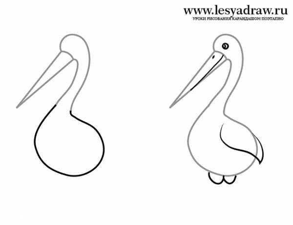 Поэтапное рисование аиста
