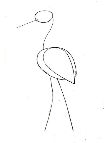 Аист рисунок карандашом легкий (48 фото)