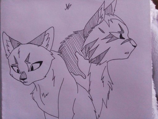 Рисунки в тетради котики