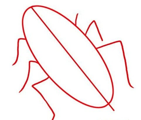 Стилизованный таракан