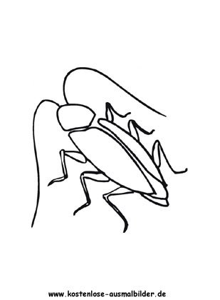 Рисунок таракана карандашом легко (41 фото)