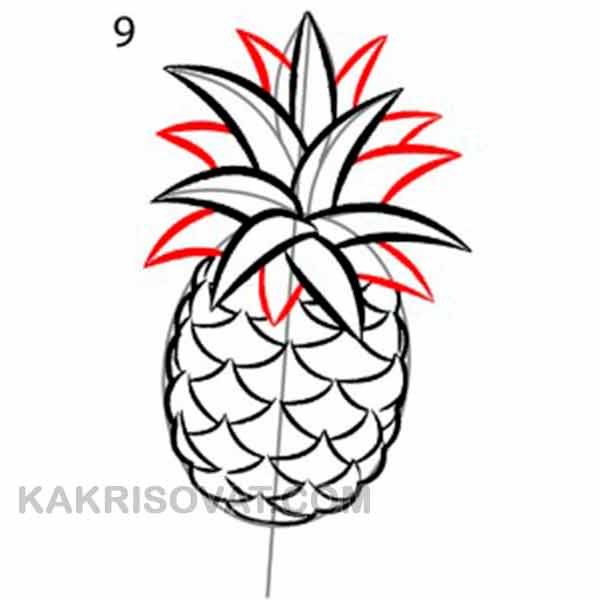 Ананас для срисовки карандашом легкие