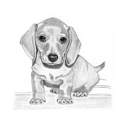 Такса схема рисования