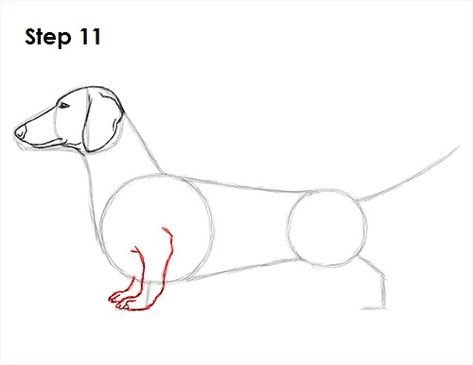 Рисование таксы