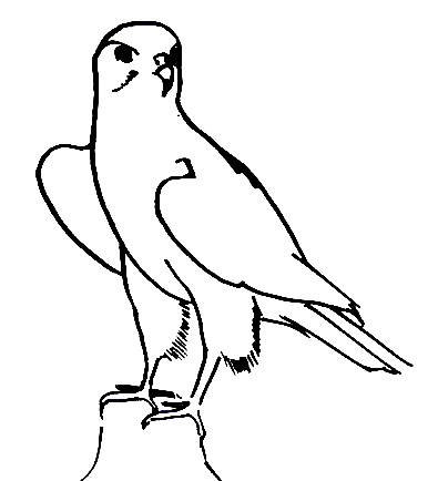 Рисование орла