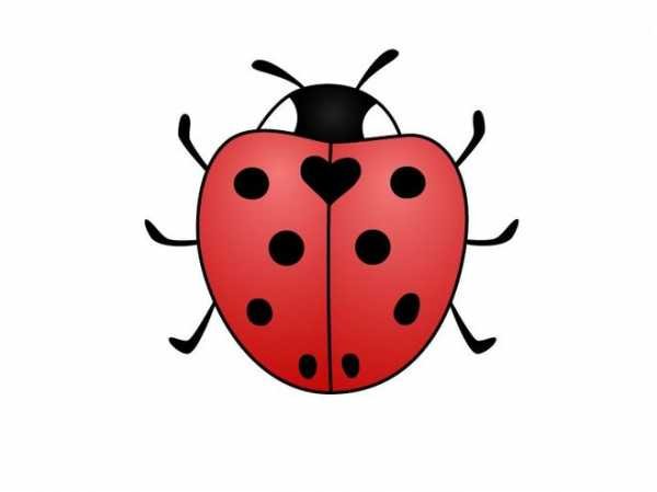 Силуэт Божьей коровки для рисования
