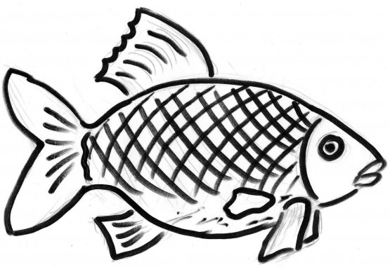 Карась раскраска для детей