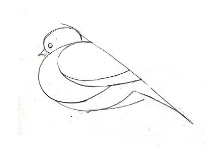 Зимующие птицы поэтапное рисование для детей