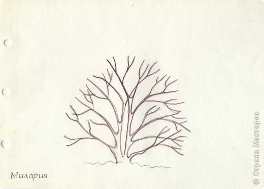 Поэтапное рисование кустарника