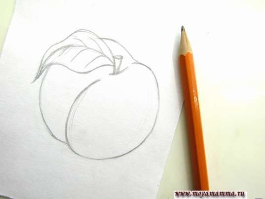 Персик рисунок карандашом поэтапно