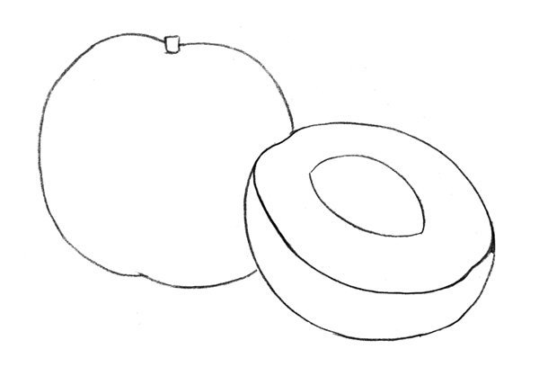 Поэтапное рисование абрикоса