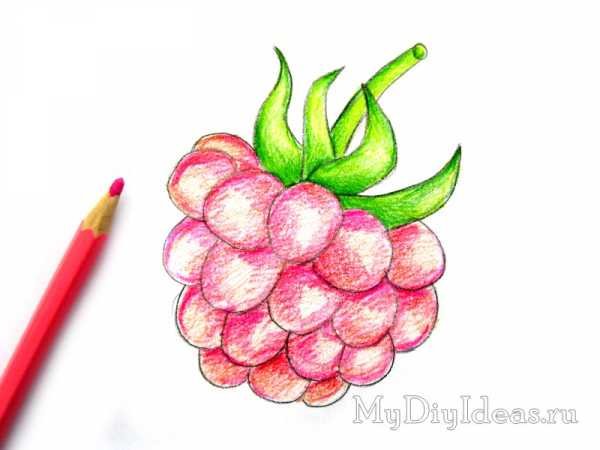 Малина цветными карандашами