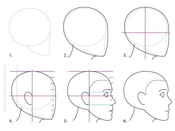 Схема построения головы сбоку