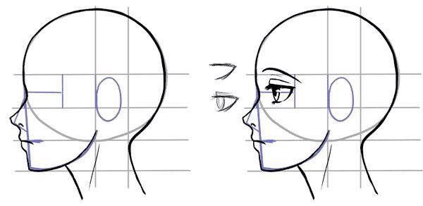 Аниме голова сбоку