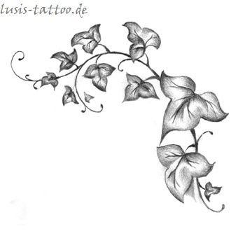 Глициния раскраска