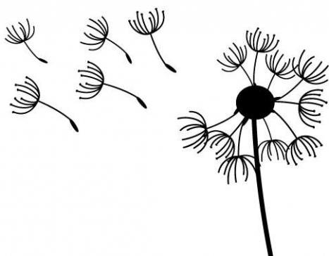 Одуванчик рисунок карандашом для детей легко (46 фото)