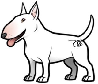 Миниатюрный бультерьер рисунок