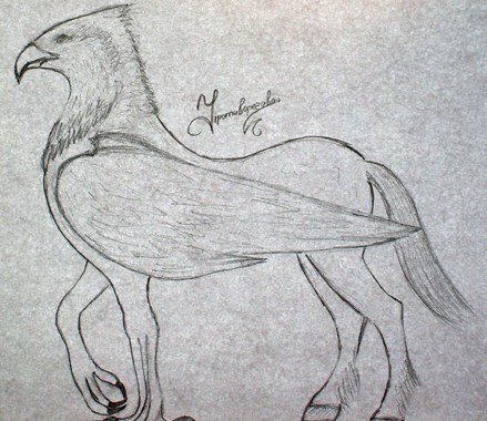 Гиппогриф рисунок поэтапно