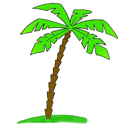 Пальма рисунок карандашом
