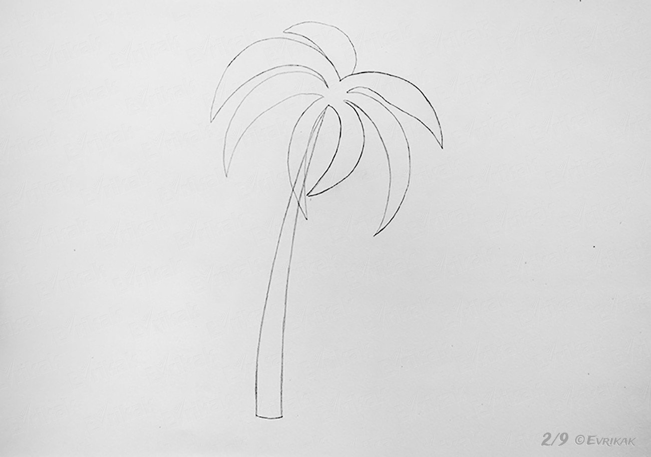 Пальма рисунок карандашом