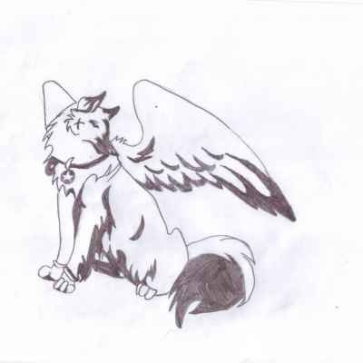 Нарисовать кошку с крыльями
