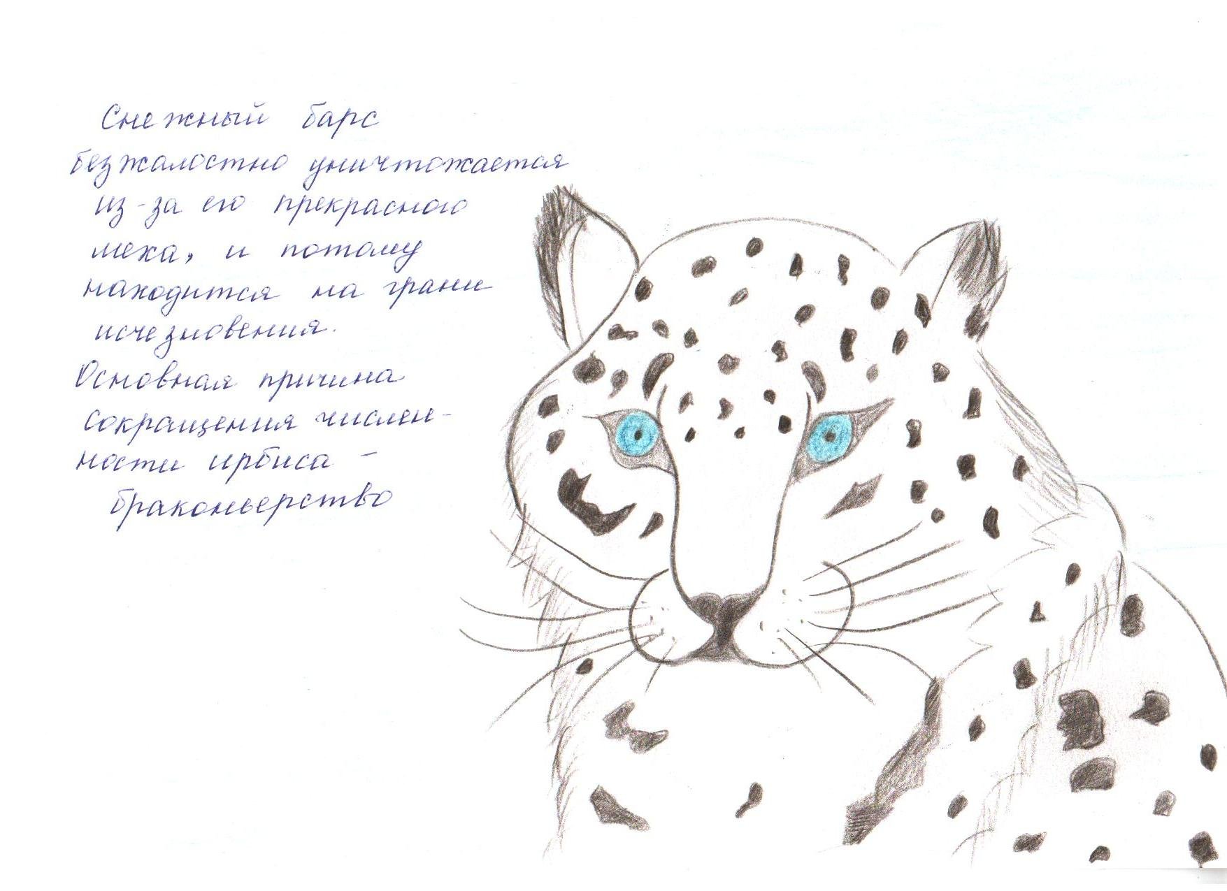 Рисунки животных из красной книги России
