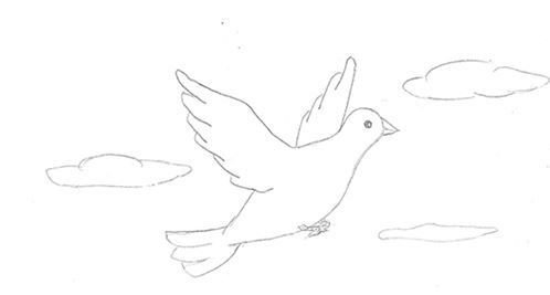 Голубь рисунок карандашом для детей легкий