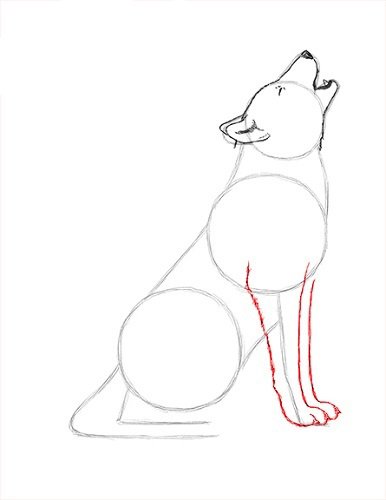 Волк воет на луну поэтапное рисование