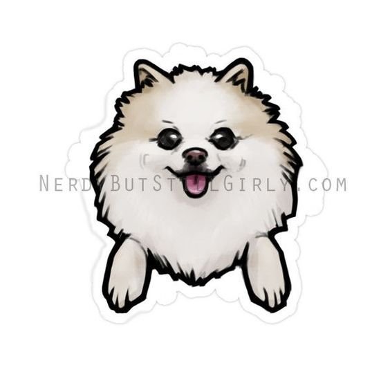 Контур померанского шпица