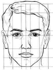 Портрет пропорции лица человека