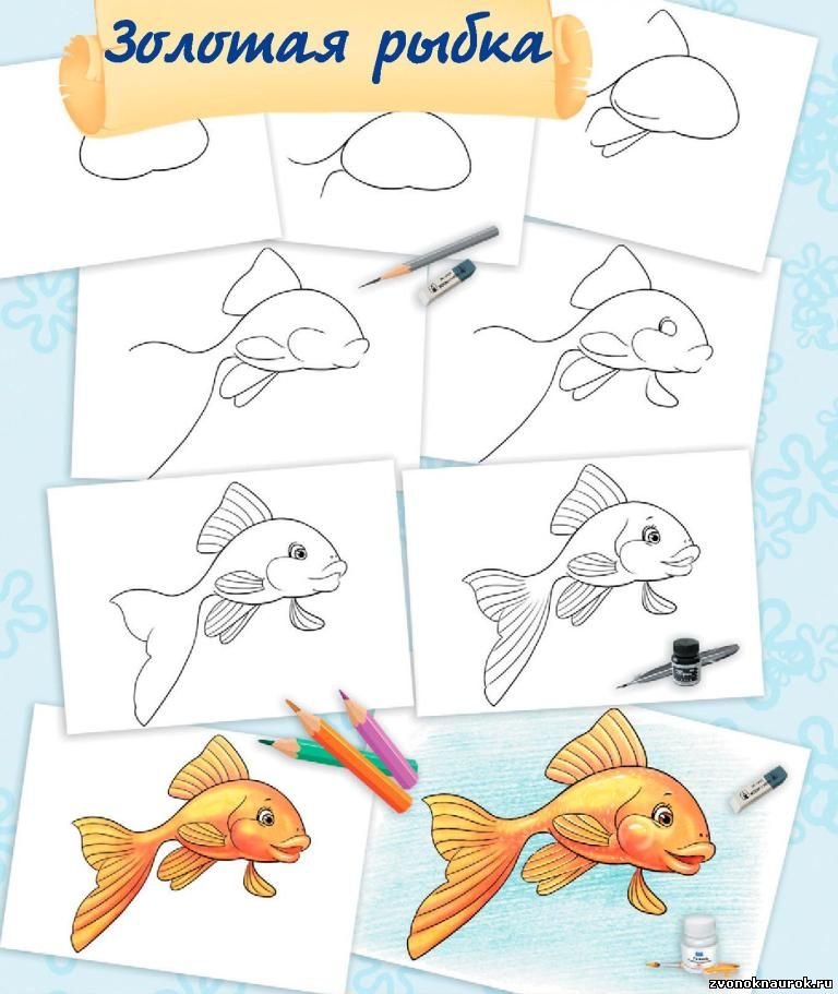 Рыбы рисунок 3 класс. Рисование рыбки. Золотая рыбка рисунок. Поэтапное рисование рыбы. Поэтапное рисование золотой рыбки.