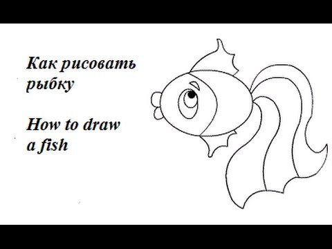 Рисование золотой рыбки поэтапно