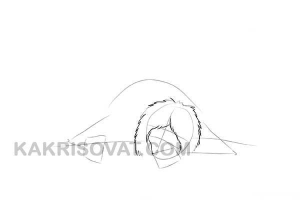 Нарисовать чудовище из сказки Аленький цветочек