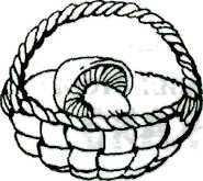 Корзина с грибами раскраска