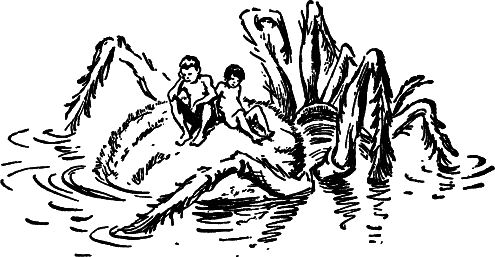 Ларри Ян необыкновенные приключения Карика и Вали раскраски