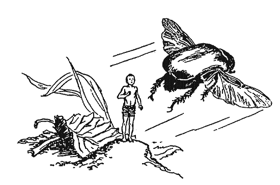 Необыкновенные приключения Карика и Вали